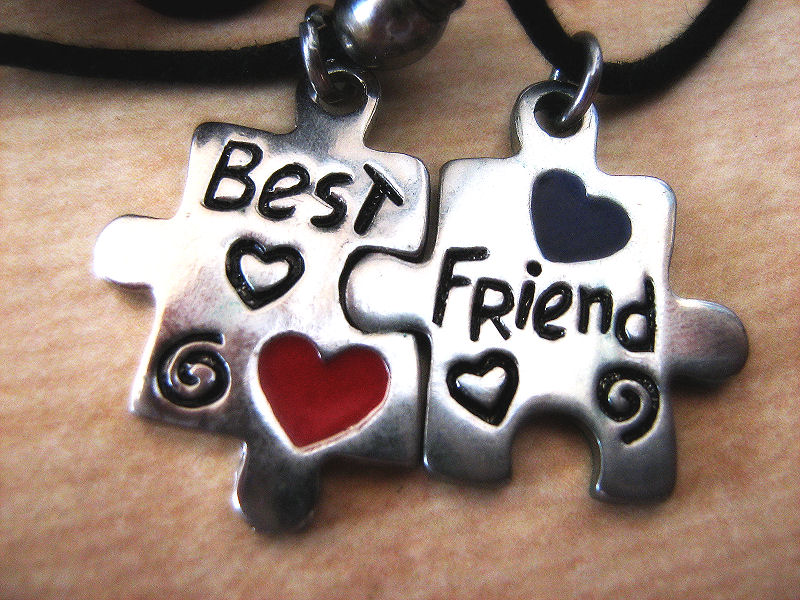 Best friend Puzzle by Lara Princess